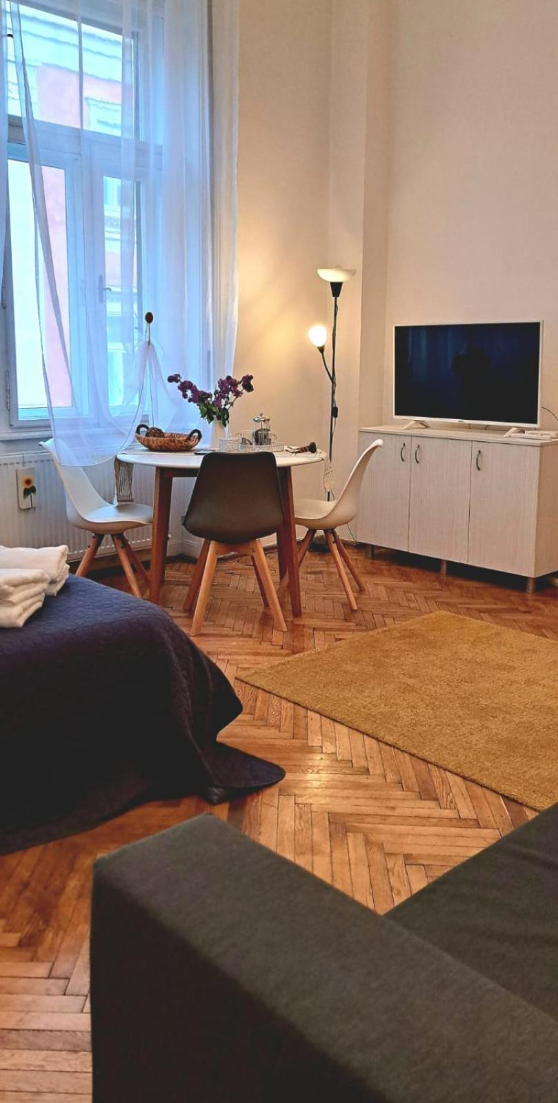 Travel And Music Apartment Timişoara Exterior foto